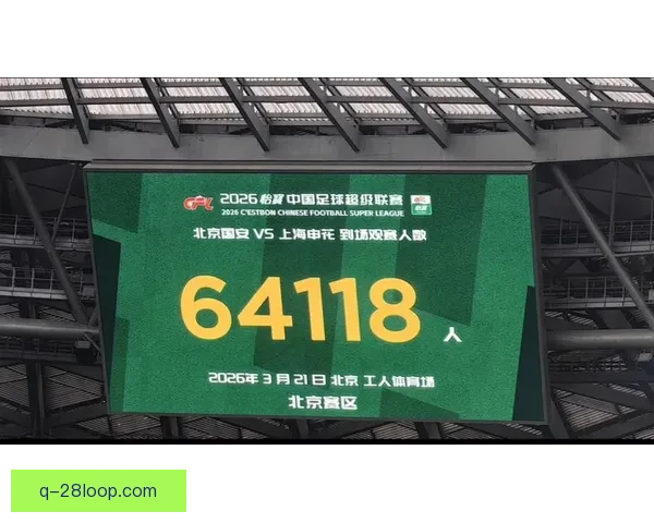 北京国安正式宣布签下新外援中卫 强化防线备战2026赛季中超